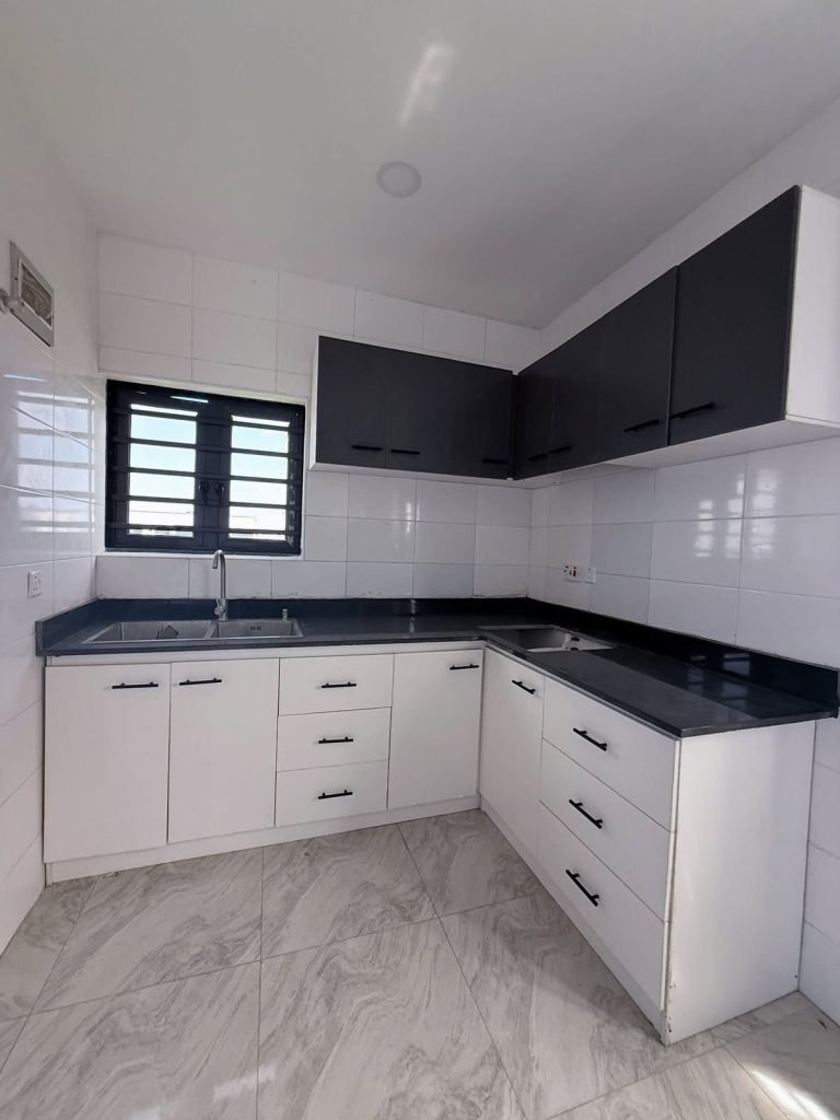 Modern Kitchen Remodeling