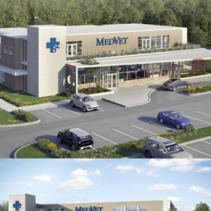 Hospital 3D Design