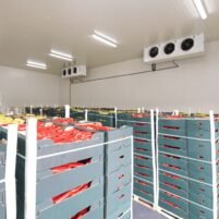 Cold Storage Room for Restaurants