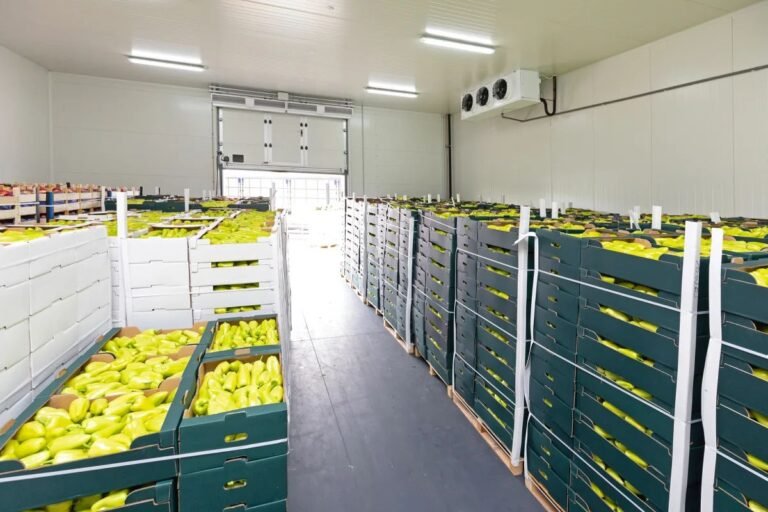 Fruits Cold Storage Room
