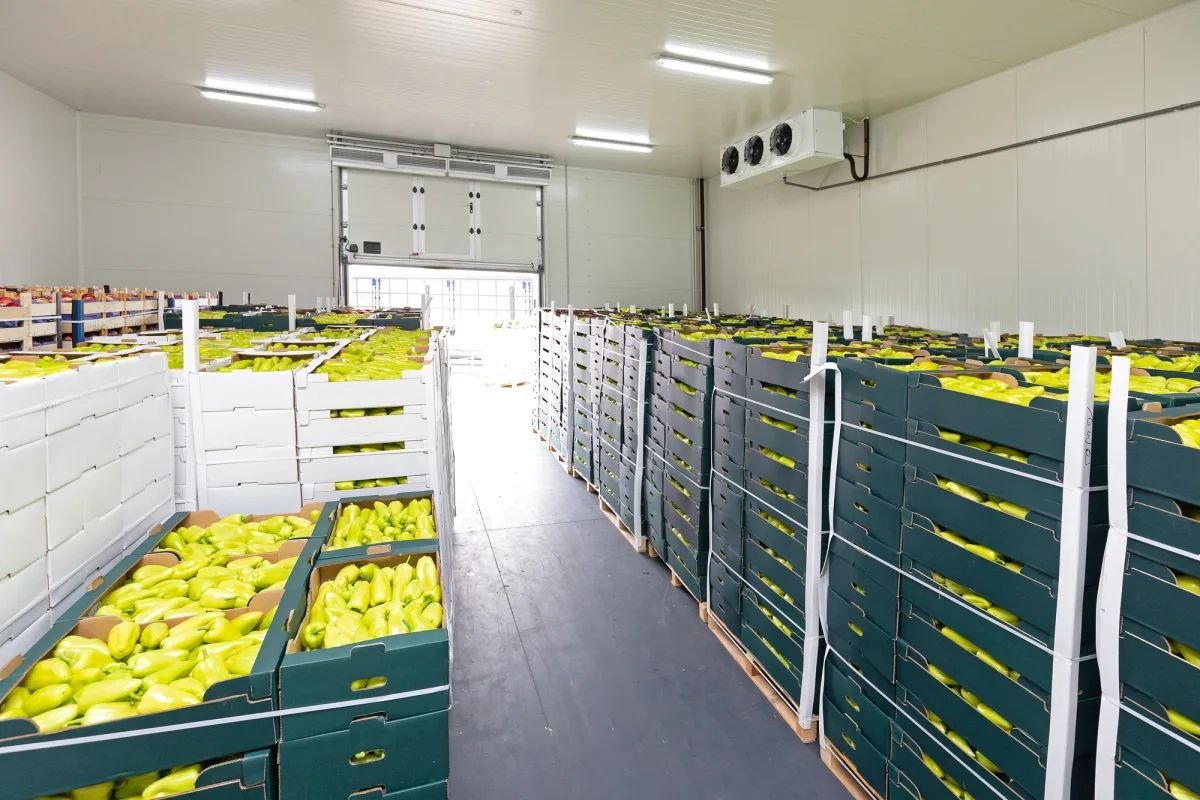 Fruits Cold Storage Room