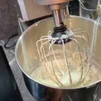  Spiral Dough Mixer