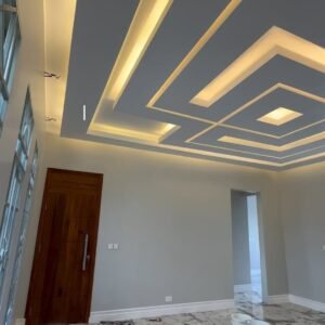 Ceiling Renovation