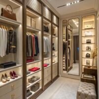 Modern Walk In Closet Design