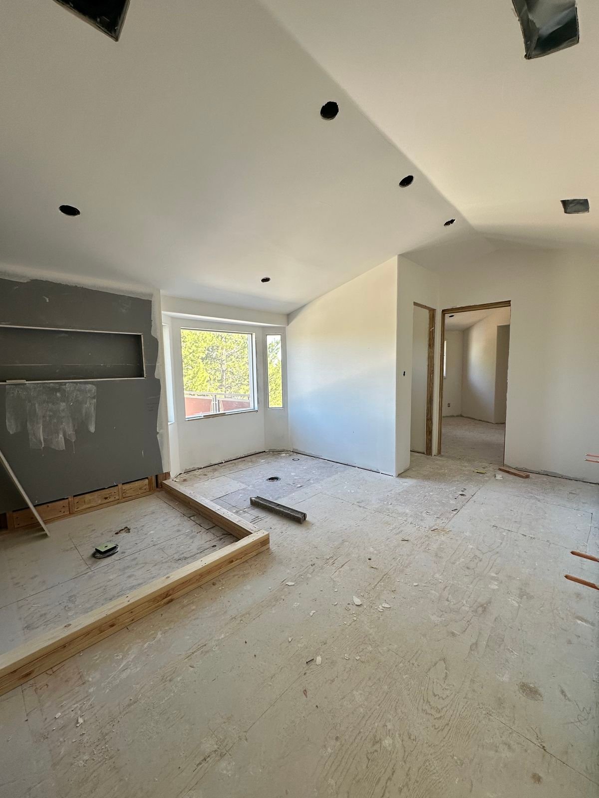 Living Room Renovation